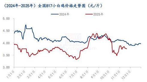 817毛鸡价格最新预测会涨还是会跌？-图2