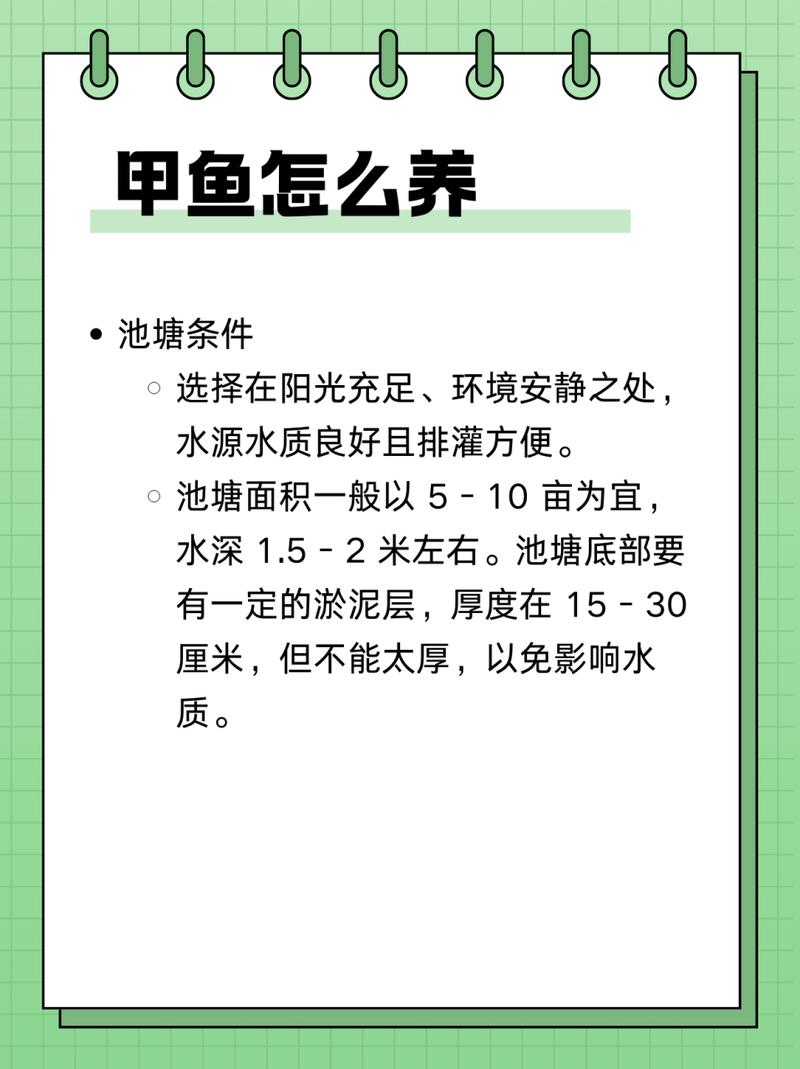 冬天养甲鱼，关键养殖技术有哪些？-图1