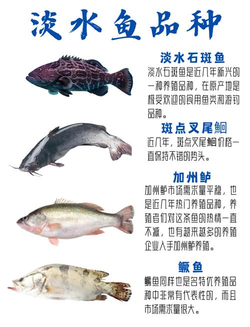 珍贵淡水鱼养殖品种大全-图1 珍贵淡水鱼养殖品种大全-图1