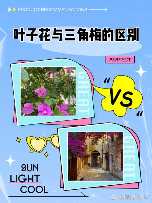 梅花品种如何靠叶子区分?-图1 梅花品种如何靠叶子区分?-图1