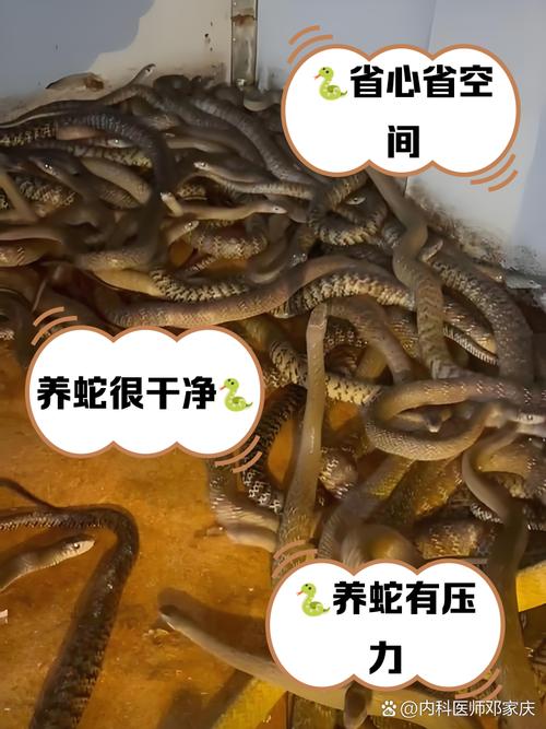 中华水蛇养殖技术视频养-图2 中华水蛇养殖技术视频养-图2