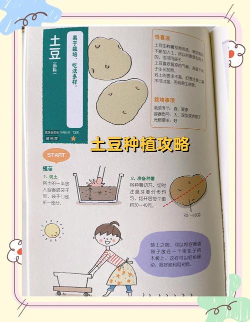 马铃薯高产栽培技术有哪些关键要点?-图1 马铃薯高产栽培技术有哪些关键要点?-图1