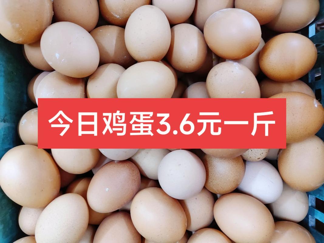今日辛集鸡蛋价格究竟是多少?-图2 今日辛集鸡蛋价格究竟是多少?-图2