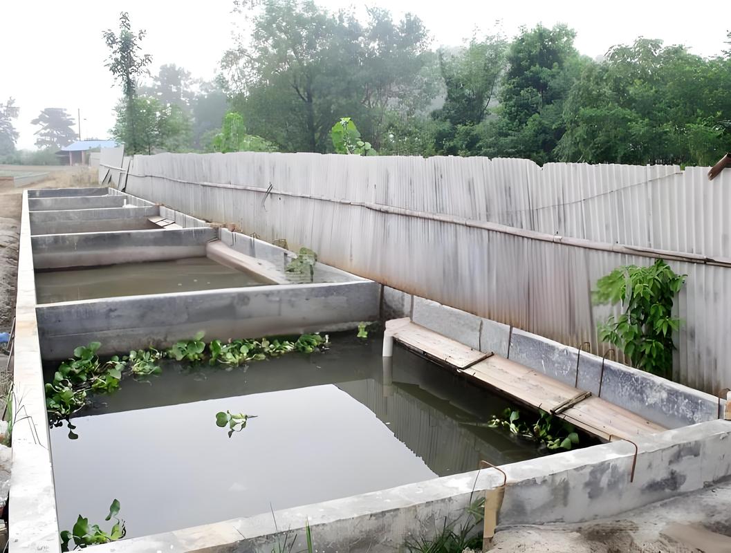 龟鳖无公害养殖关键技术有哪些?-图1 龟鳖无公害养殖关键技术有哪些?-图1