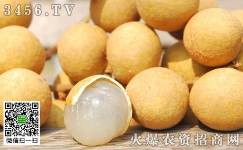 北园春集团价格市场行情如何？-图2