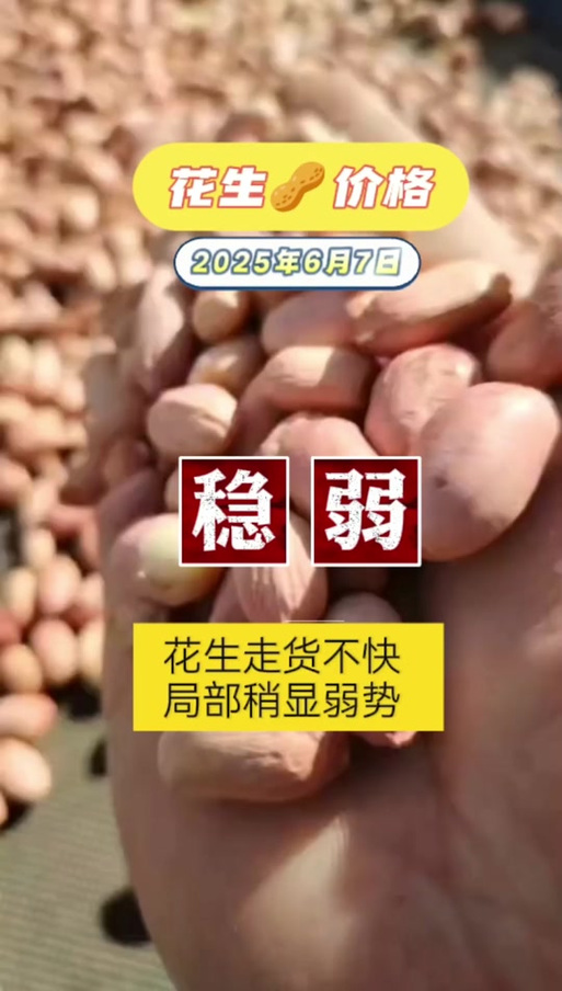 2025上半年花生价格会涨还是跌?-图3 2025上半年花生价格会涨还是跌?-图3