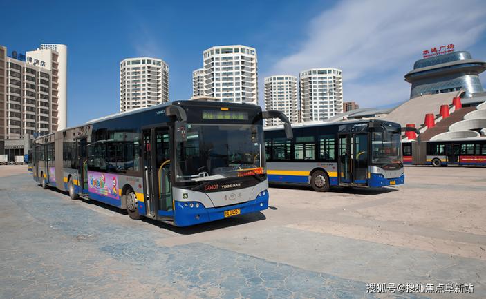 阜新2025活羊价格会涨多少?-图2 阜新2025活羊价格会涨多少?-图2