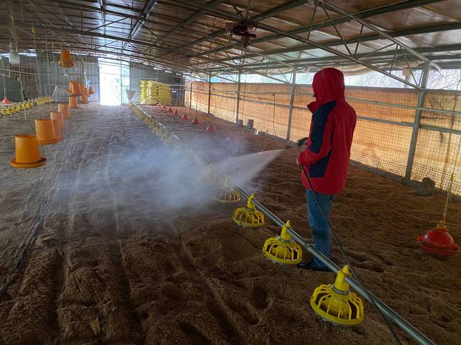发酵床养殖技术有何优缺点?-图2 发酵床养殖技术有何优缺点?-图2