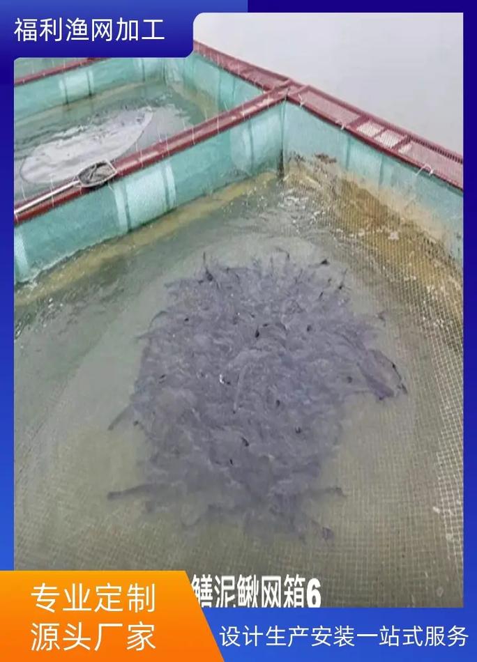 水蛭网箱养殖技术 视频-图1