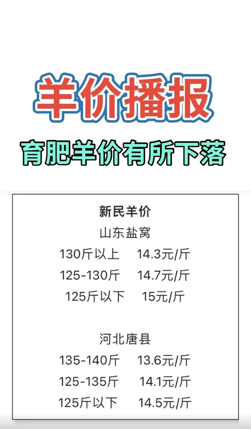 小尾寒羊肉羊价格未来怎么走？-图2