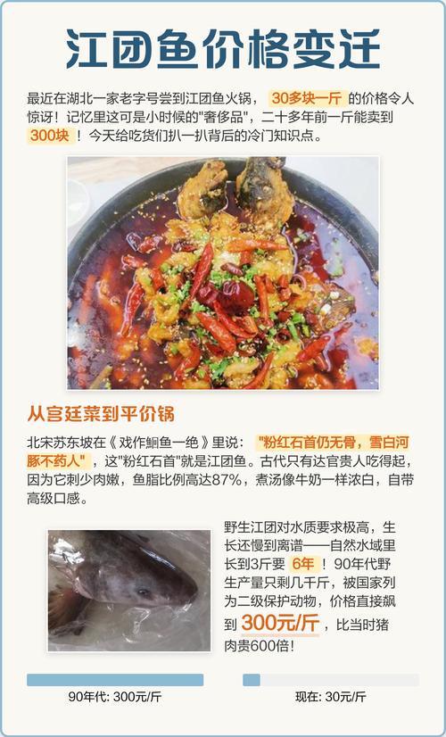 2025年江团最新价格多少钱一斤?-图1 2025年江团最新价格多少钱一斤?-图1