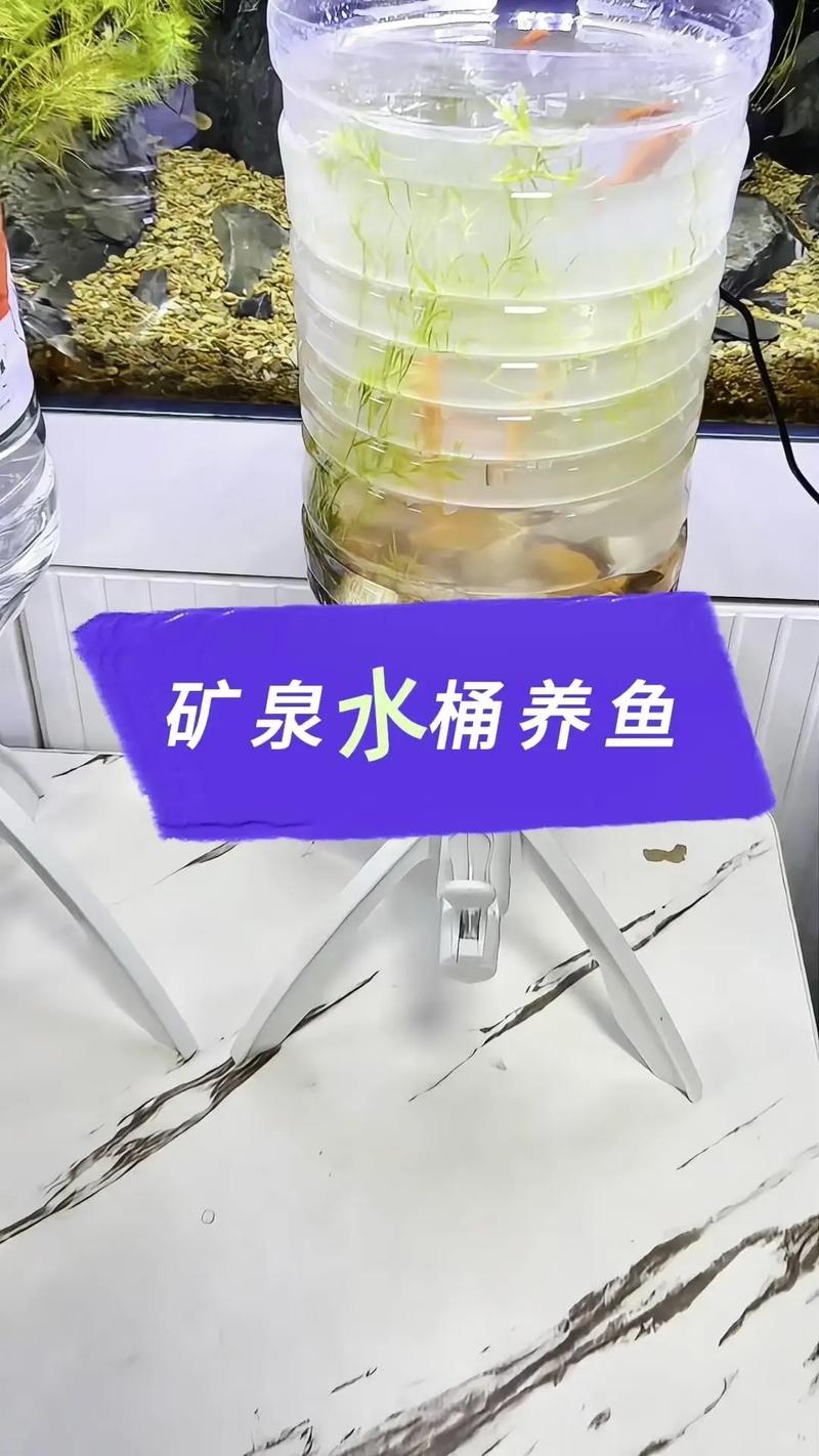 10米圆桶养鱼成本究竟有多高？-图2