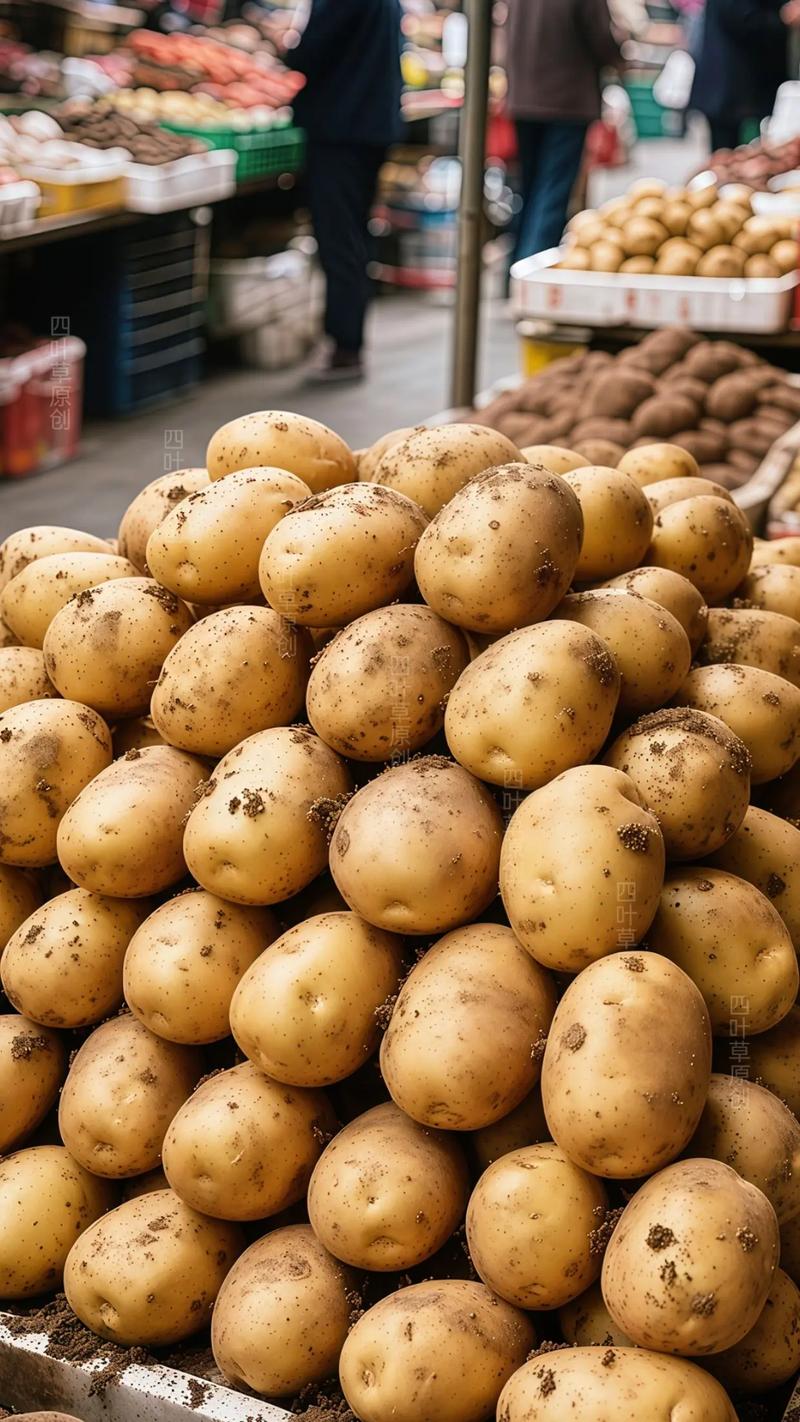 2025年3月土豆价格会涨还是会跌?-图1 2025年3月土豆价格会涨还是会跌?-图1