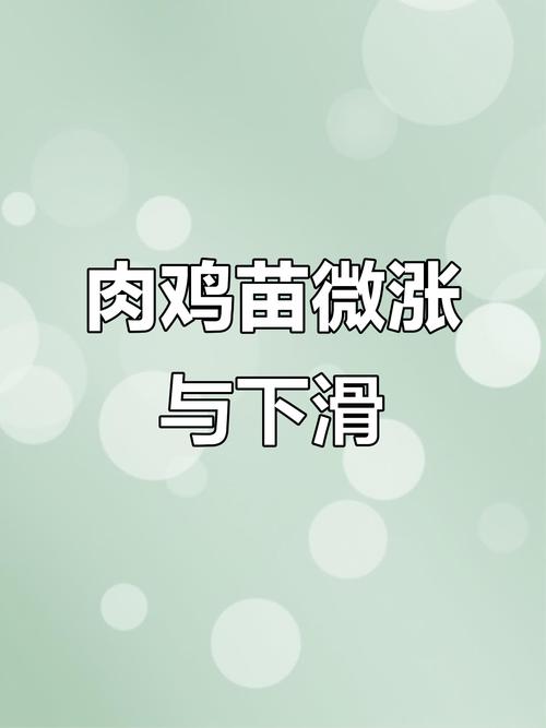817鸡苗价格报价中心-图3 817鸡苗价格报价中心-图3