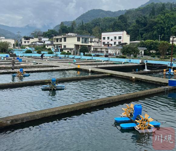 淡水养殖技术如何提升农业水产效益?-图1 淡水养殖技术如何提升农业水产效益?-图1