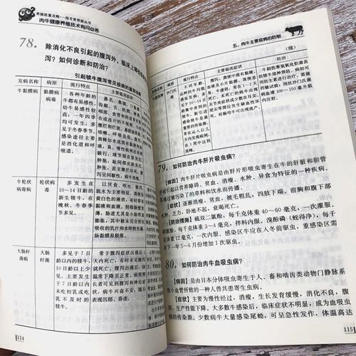 肉牛养殖技术如何提升养牛利润?-图3 肉牛养殖技术如何提升养牛利润?-图3