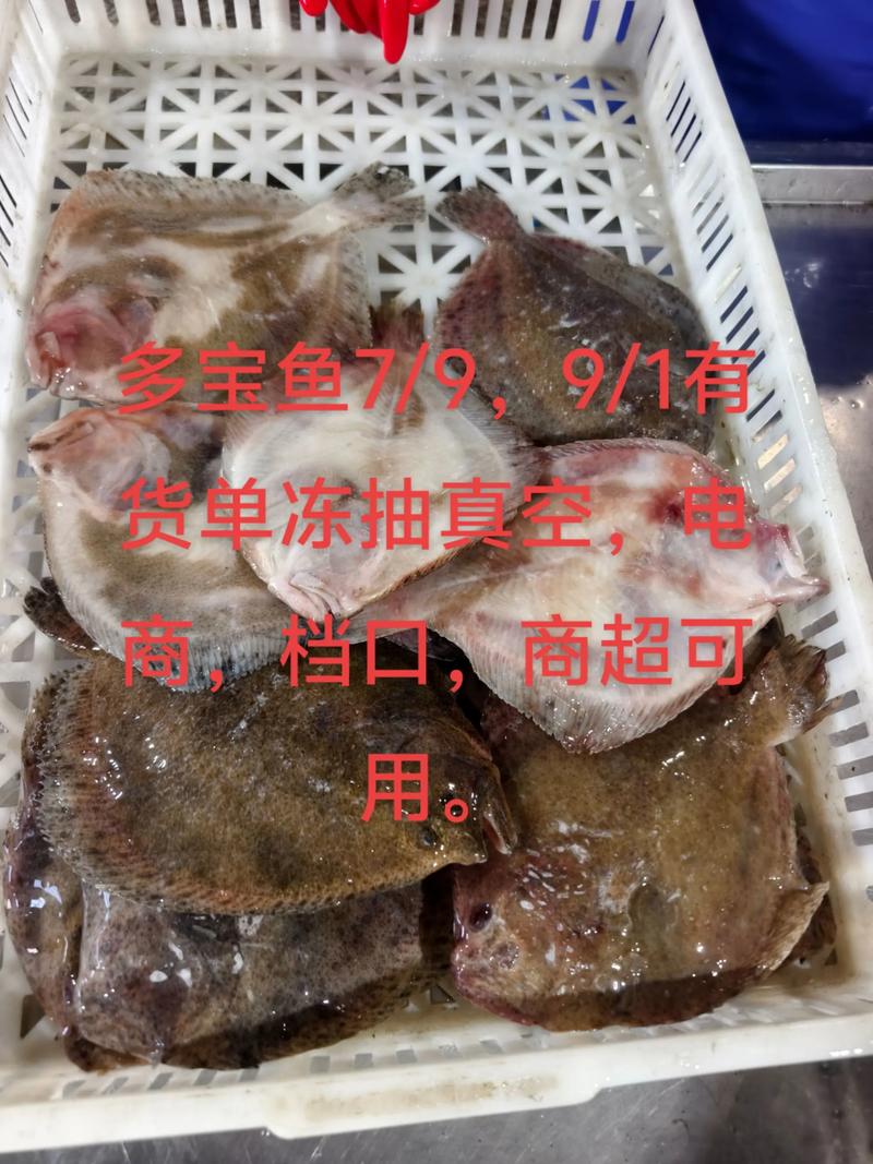 多宝鱼今日价格2025-图1 多宝鱼今日价格2025-图1