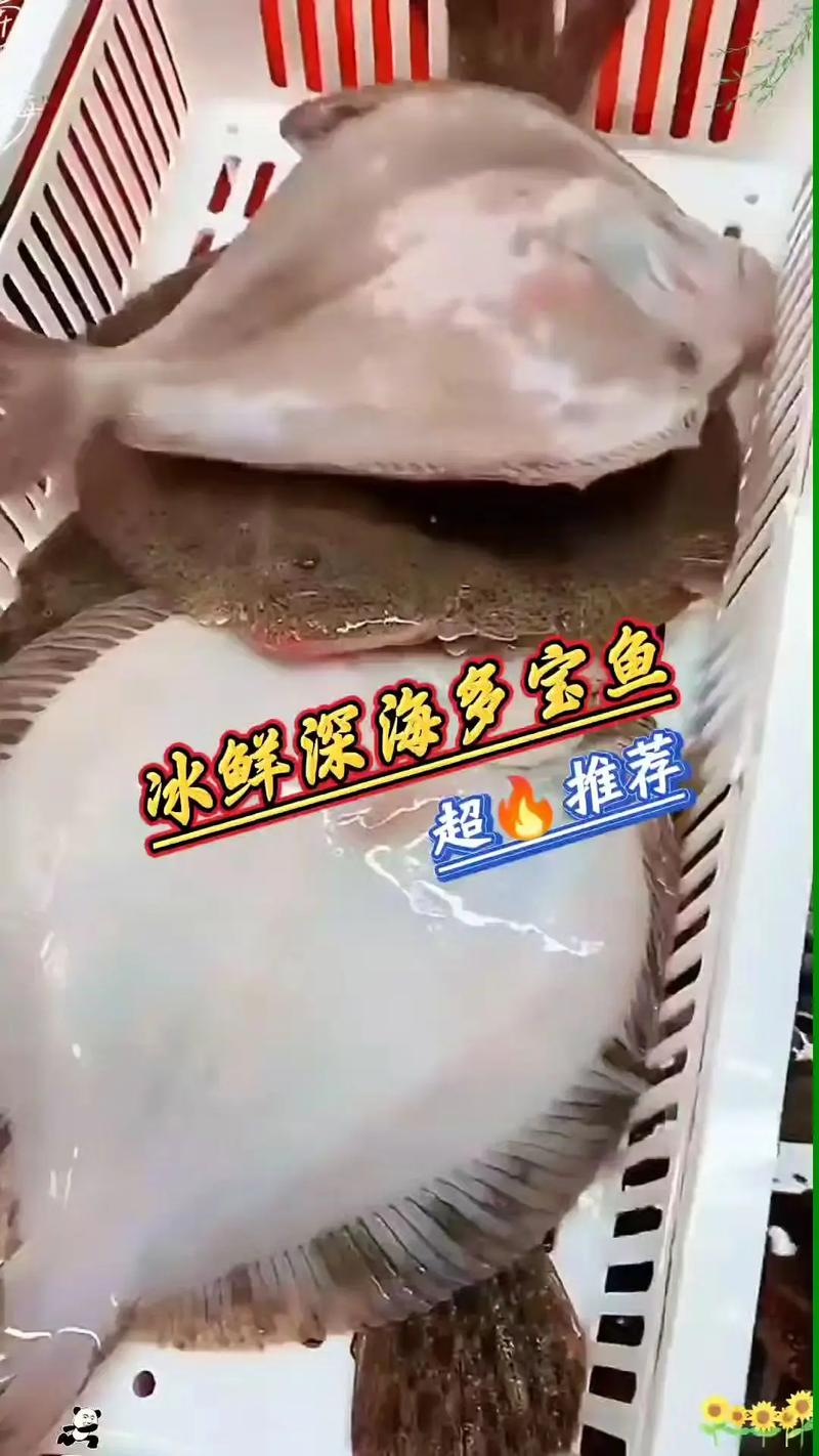 多宝鱼今日价格2025-图3