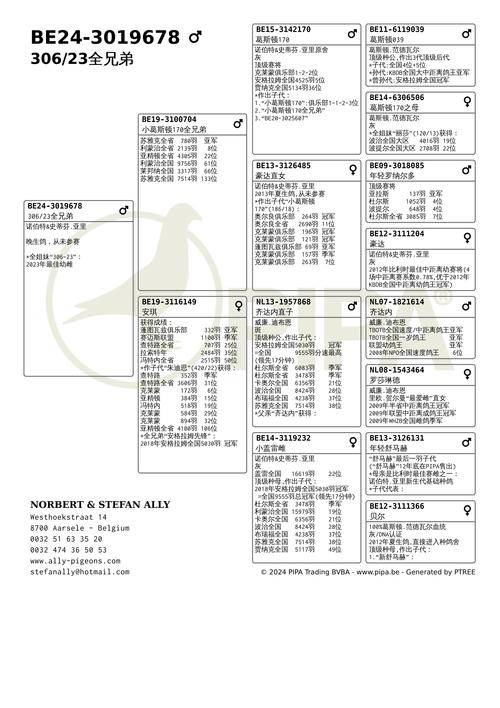 今年海南的鸽子价格怎样-图3