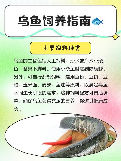 乌鱼及其养殖技术 饲料-图1