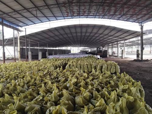 佛山牛粪如何变废为宝产双孢菇?-图3 佛山牛粪如何变废为宝产双孢菇?-图3