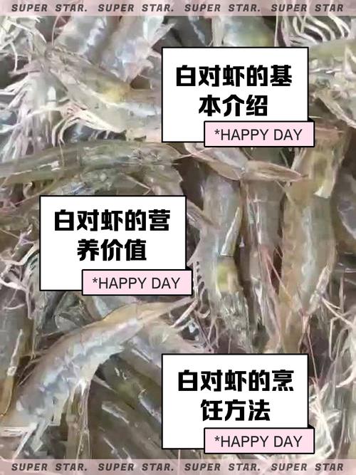 2025白对虾养殖技术,关键点与难点在哪?-图3 2025白对虾养殖技术,关键点与难点在哪?-图3