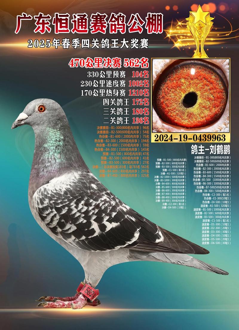 2025年2月肉鸽价格会涨还是会跌？-图2