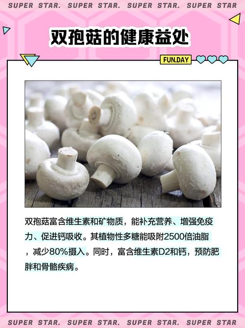 家庭如何轻松种植双孢菇？-图1