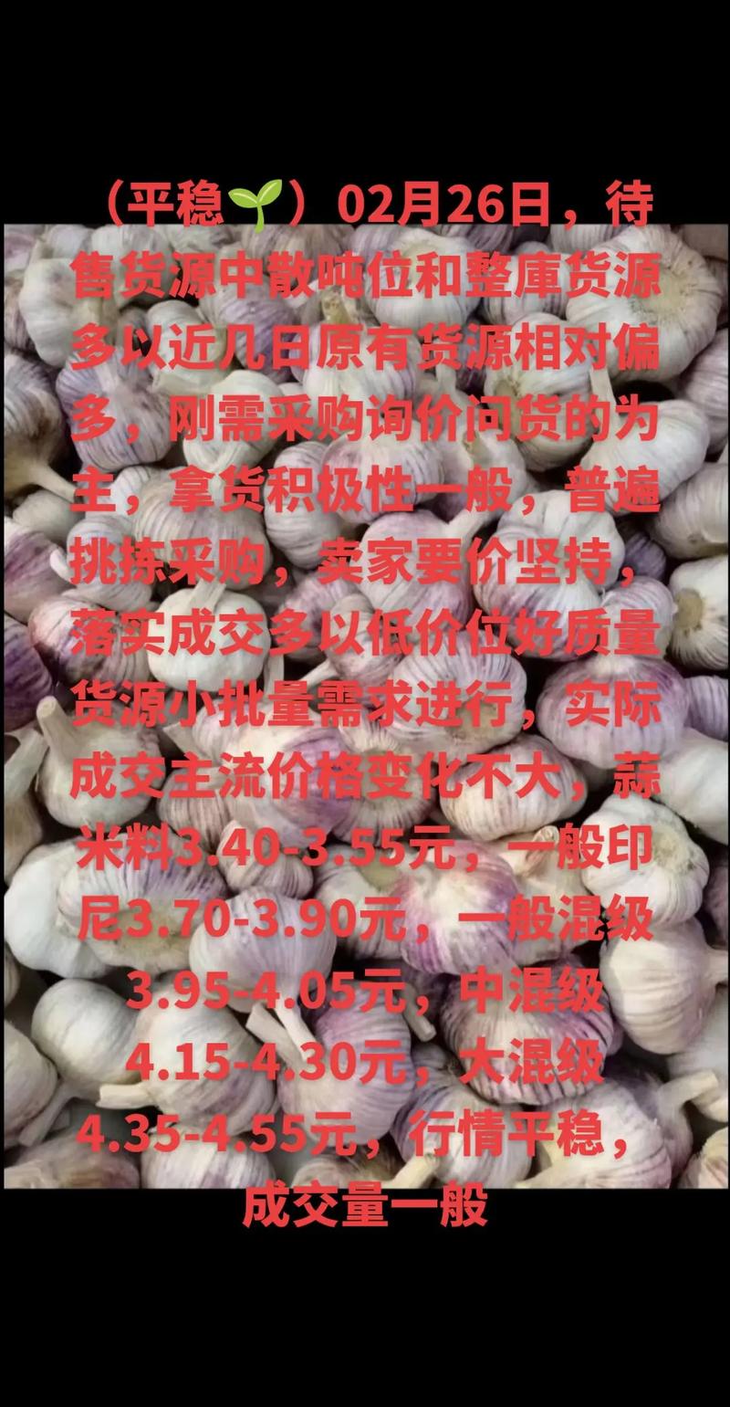 17年大蒜价格会涨还是会跌?-图3 17年大蒜价格会涨还是会跌?-图3