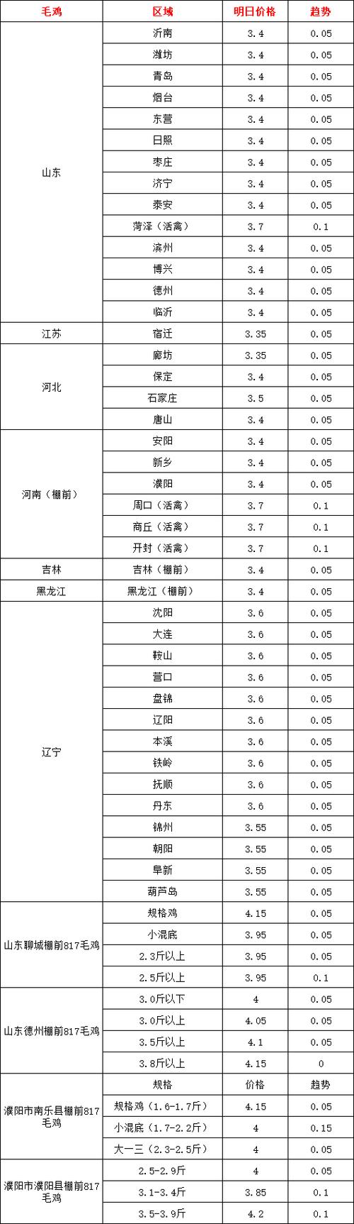 聊城817毛鸡今日价格多少?-图2 聊城817毛鸡今日价格多少?-图2