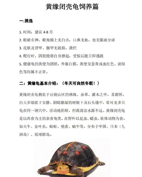 2025年野生黄缘价格会涨还是跌?-图2 2025年野生黄缘价格会涨还是跌?-图2