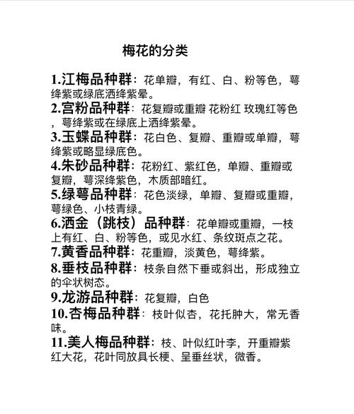 新手养梅花,哪个品种最好养?-图1 新手养梅花,哪个品种最好养?-图1