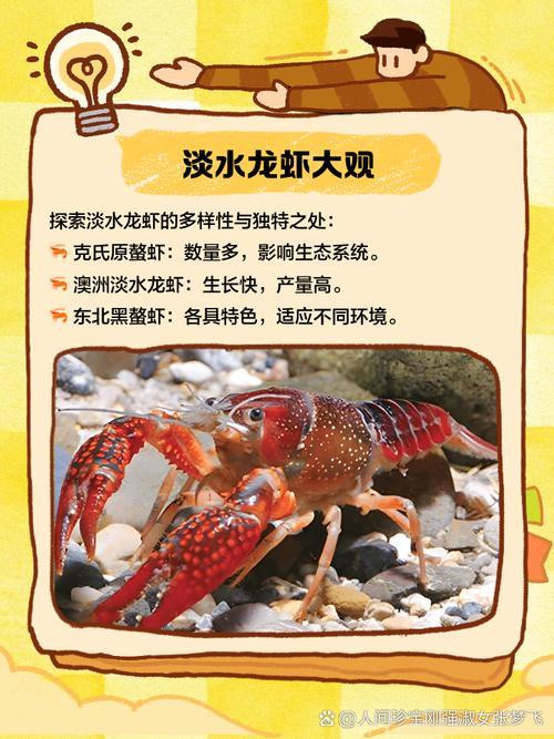 淡水小龙虾养殖技术有哪些关键要点?-图3 淡水小龙虾养殖技术有哪些关键要点?-图3