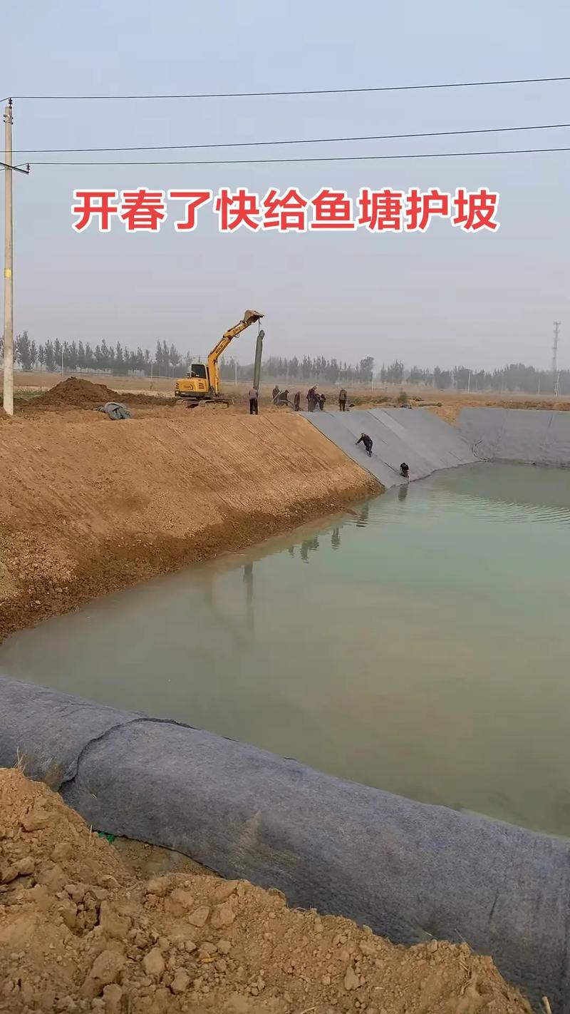 四大家鱼池塘降养殖技术如何实现高效降本?-图2 四大家鱼池塘降养殖技术如何实现高效降本?-图2