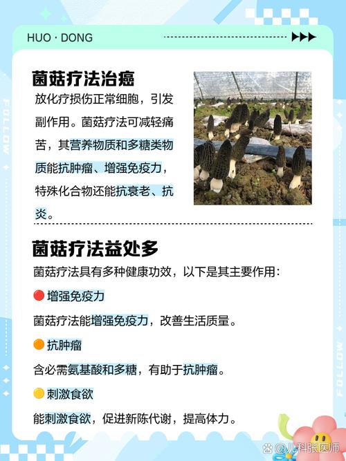 珍品食用菌栽培技术宝典-图3