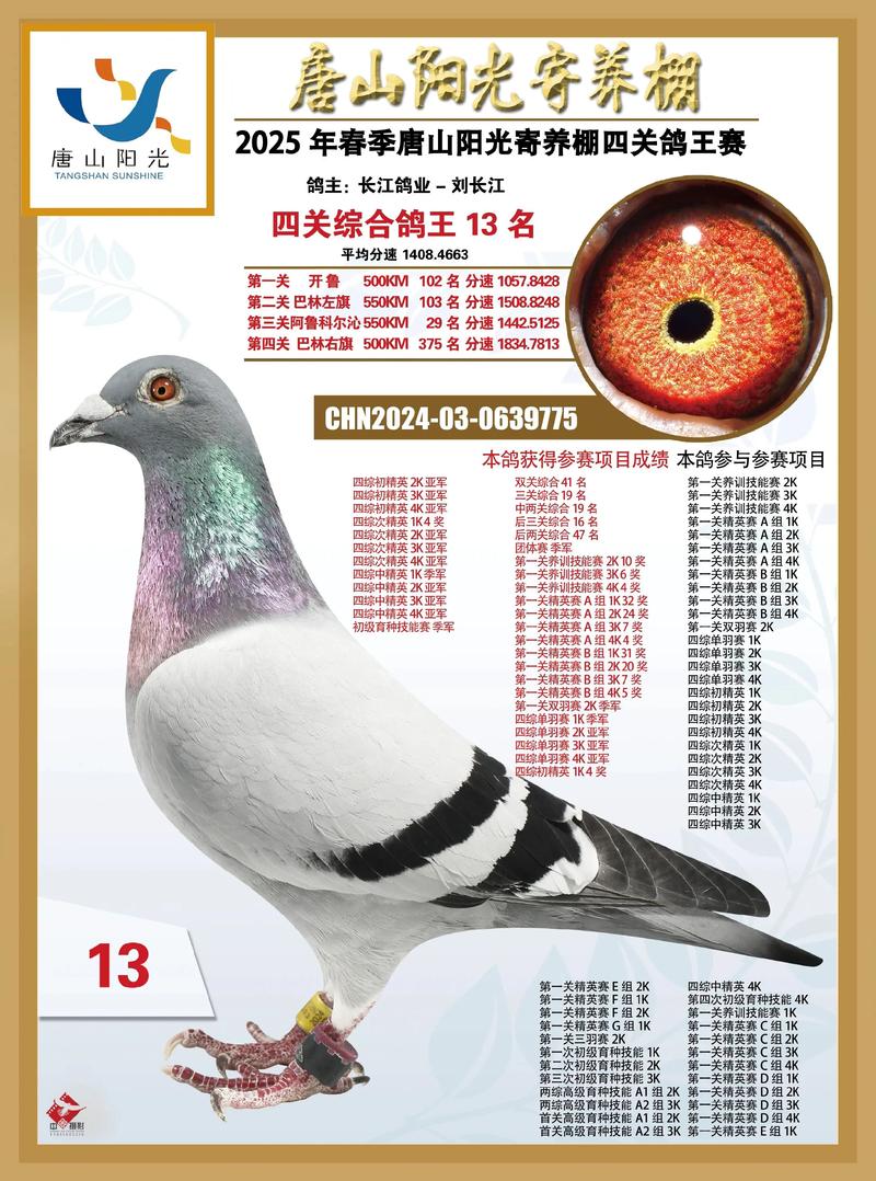 2025年2月鸽子价格-图3