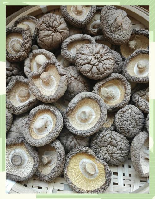 干香菇品种众多,哪种才是最优选?-图1 干香菇品种众多,哪种才是最优选?-图1