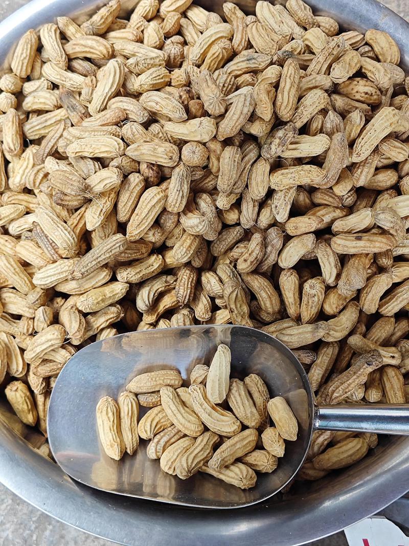 2025年广西花生价格会涨还是跌？-图2