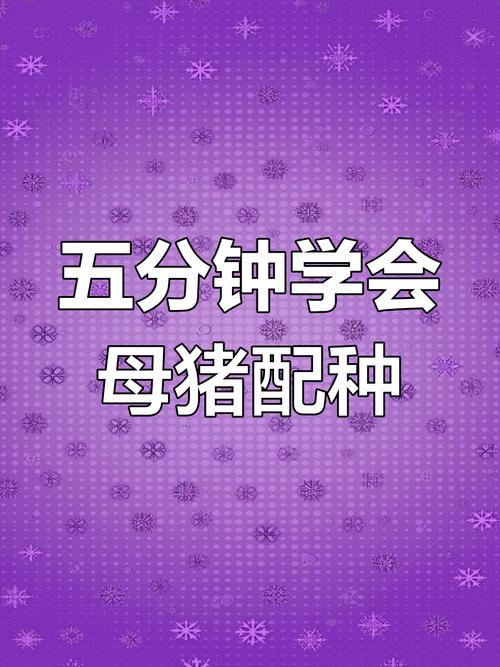 母猪配种有哪些关键技术与注意事项?-图1 母猪配种有哪些关键技术与注意事项?-图1