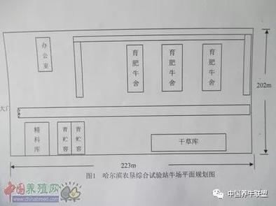 肉牛标准化养殖技术方案具体如何实施?-图3 肉牛标准化养殖技术方案具体如何实施?-图3