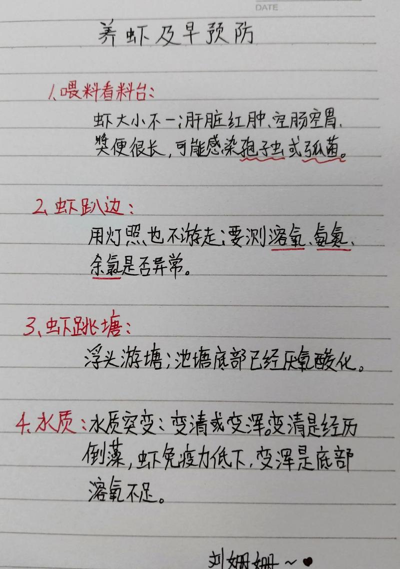 南美白对虾养殖技术要点有哪些关键?-图1 南美白对虾养殖技术要点有哪些关键?-图1