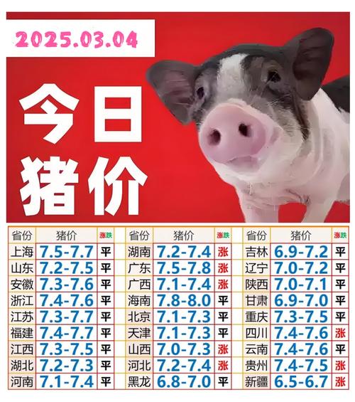 2025养殖黑豚鼠价格会涨还是跌？-图2