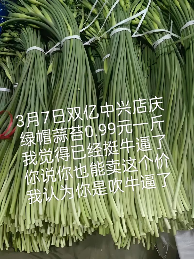 2025年蒜薹价格会涨还是跌?-图3 2025年蒜薹价格会涨还是跌?-图3