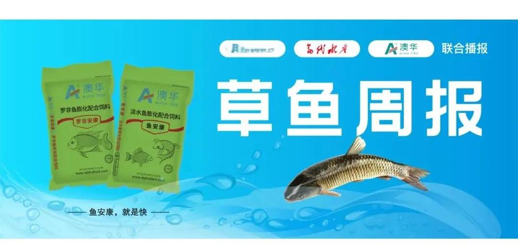 2025年草鱼价格会涨还是会跌？-图3