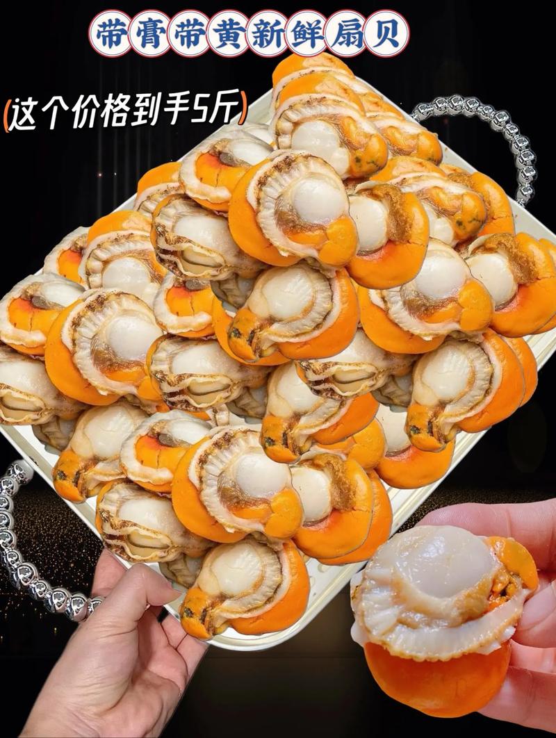 2025年莱州扇贝价格会涨还是会跌？-图2