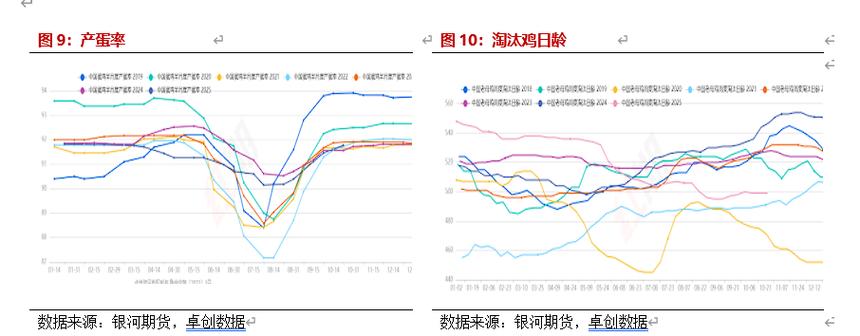 2025淘汰鸡今日价格多少?行情走势如何?-图3 2025淘汰鸡今日价格多少?行情走势如何?-图3