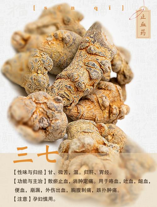 三七种植要哪些条件?技术要点有哪些?-图3 三七种植要哪些条件?技术要点有哪些?-图3