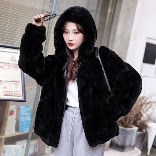 2025年獭兔最新价格多少?-图3 2025年獭兔最新价格多少?-图3