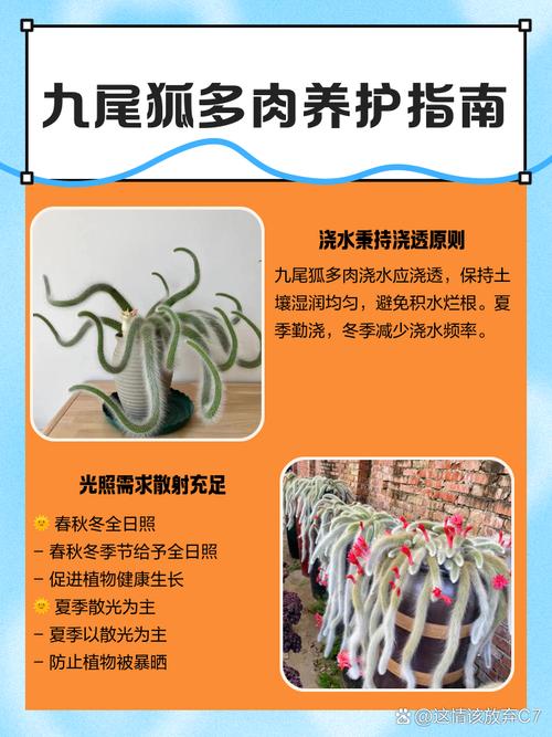 狐狸养殖如何有效防治疾病?-图1 狐狸养殖如何有效防治疾病?-图1