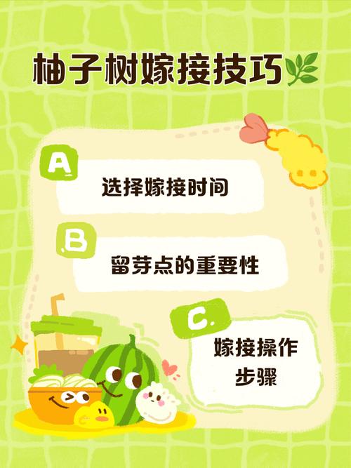 柚子树嫁接技术和时间-图1 柚子树嫁接技术和时间-图1